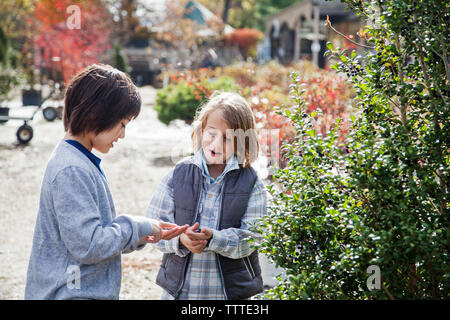 Friends examining plants during field trip Stock Photo