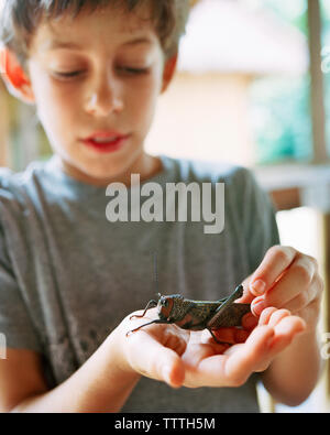 Amazon Rainforest Peru Looking Up Stock Photo Alamy amazon-rainforest-peru-looking-up-stock-photo-alamy