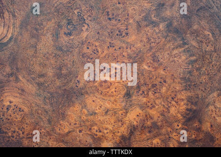 Real burl wood striped for Picture prints interior decoration, Exotic wooden beautiful pattern for crafts or abstract art texture background Stock Photo