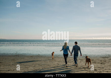 Rear view of couple holding hands while walking with dogs toward sea against sky at beach Stock Photo