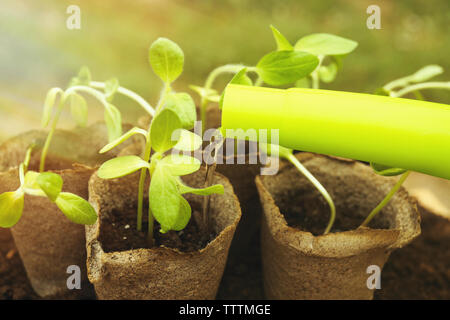 Water pouring from watering can on seedling in garden Stock Photo