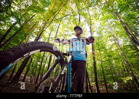 Low angle view of male cyclist on bicycle in forest Stock Photo