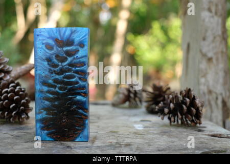 Casting resim pine cone Stock Photo