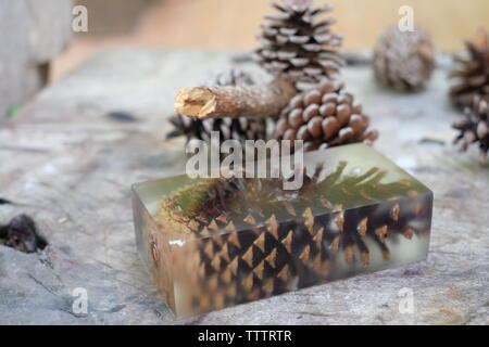 Casting resim pine cone Stock Photo