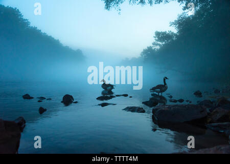 A cloud of mist floats over the Chattahoochee River at dusk, just below Lake Lanier and Northeast of Atlanta, Georgia. (USA) Stock Photo