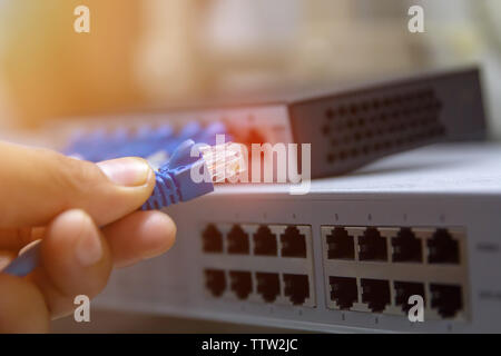 Information Technology Computer Network, Telecommunication Ethernet Cables Connected to Internet Switch. Stock Photo