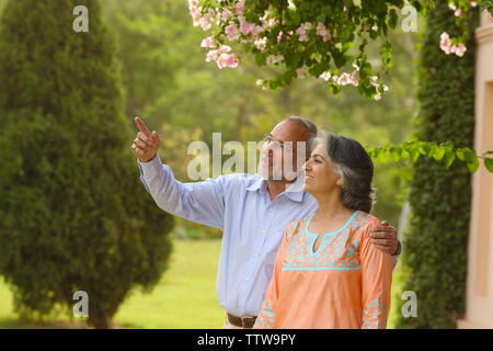 Indian old couple standing in a lawn and pointing Stock Photo