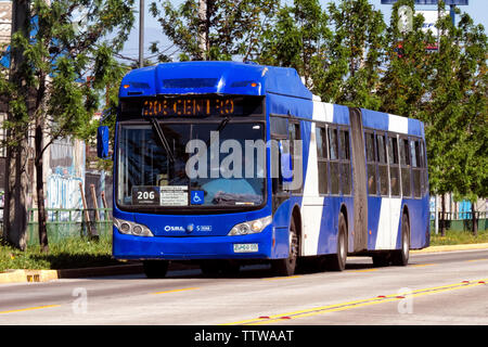 SANTIAGO, CHILE - OCTOBER 2014: An articulated bus on the Santa Rosa busway Stock Photo