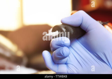 Male hand in glove holding tattoo machine, close up view Stock Photo