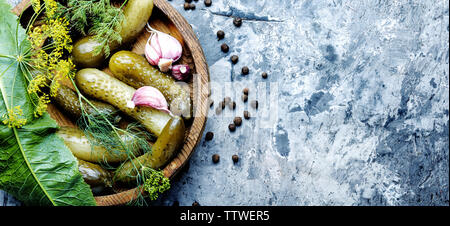 Marinated pickled cucumbers.Pickled cucumbers with herbs and spices Stock Photo