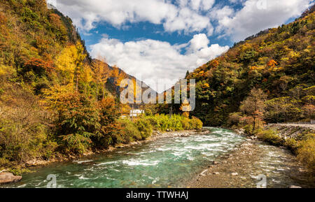 Late Autumn Color Forest Scenery of Wolong, Sichuan Stock Photo