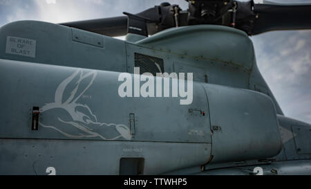 The Marine Light Attack Helicopter Squadron 775 mascot is coated on an UH-1Y Venom helicopter with HMLA-775, Marine Aircraft Group 41, 4th Marine Aircraft Wing, at Canadian Forces Base Cold Lake, Canada, June 15, 2019, in support of Sentinel Edge 19. The Marine Reserve plays a critical component to the Marine Corps’ Total Force, and training such as SE19 helps ensure Reserve units combat effectiveness and proficiency for world-wide deployment. (U.S. Marine Corps photo by Lance Cpl. Jose Gonzalez)