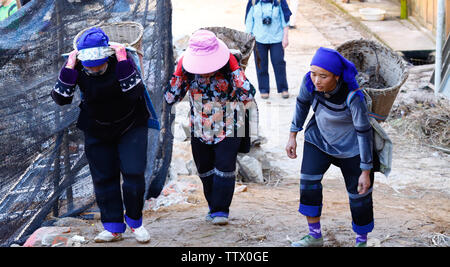 Women at work in a village near the rice fields of Yunnan, China. The famous terraced rice fields of Yuanyang in Yunnan province in China. Yunnan, Chi Stock Photo
