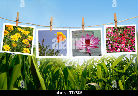Photos of flowers hanging on a rope Stock Photo