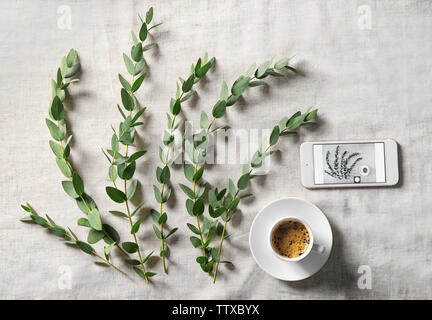 Green eucalyptus branches with cup of coffee on table Stock Photo