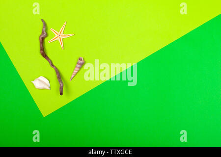 Tropical Background. Seashell on colourful trendy modern fashion background. Stock Photo