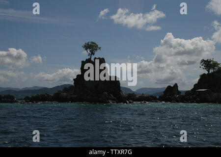 Tree on the top of cliff, Khai Nok Island, Phang Nga Bay, Phuket, Thailand Stock Photo