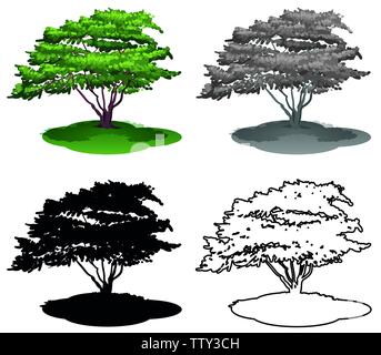 Set of tree on white background illustration Stock Vector