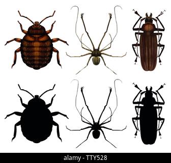 Set of many insect illustration Stock Vector