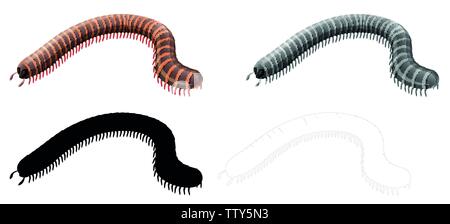 Set of millipede character illustration Stock Vector