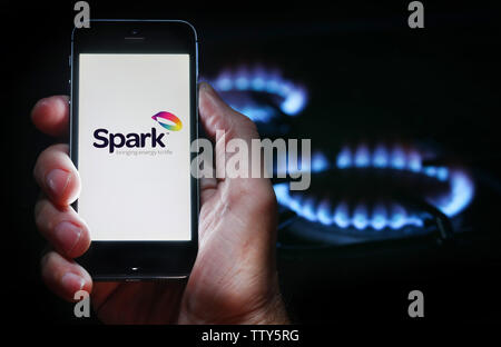 A man looking at the website logo for energy company Spark on his phone in front of his gas cooker (editorial use only) Stock Photo