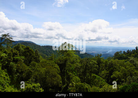 High angle view of a forest, Langkawi Island, Malaysia Stock Photo