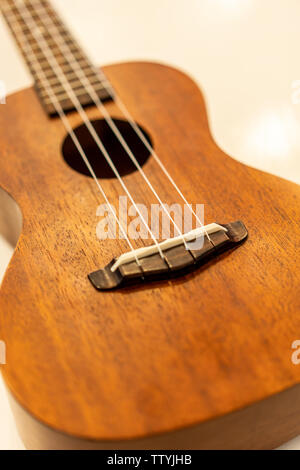 A little Hawaiian guitar. Stock Photo