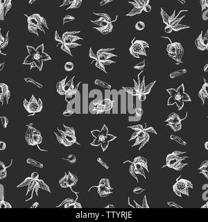 Ashwagandha hand drawn seamless pattern with berries, lives and branch in white chalk color on black chalkboard background. Stock Vector