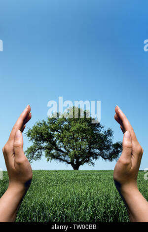 Person hand pretending to hold tree Stock Photo