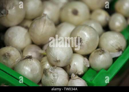 Fresh vegetables in plastic boxes on market Stock Photo