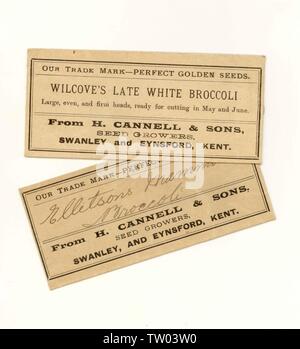Early 1900's packet of Broccoli seeds, Wilcove's Late White, from seed ...