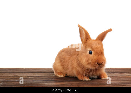 Cute funny rabbit on wooden surface against white background Stock Photo