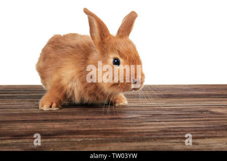Cute funny rabbit on wooden surface against white background Stock Photo