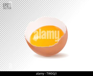Vector eggs smashed against a transparent background. Realistic, 3d Stock Vector