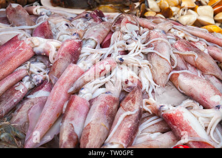 Assortment of fresh squids laying on a counter on a fish market in Kota Kinabalu, Malaysia Stock Photo