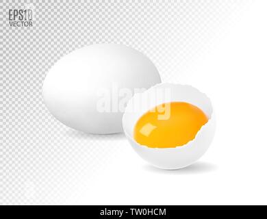 White broken egg with flowing yolk and whole egg on transparent background. Vector eps10 illustration. Stock Vector