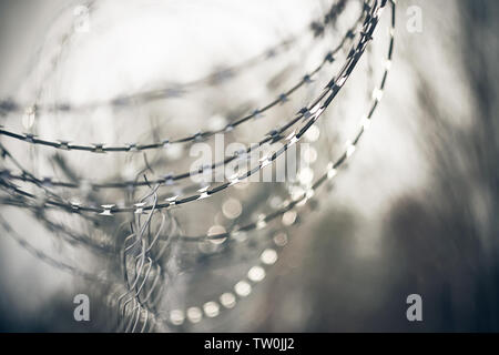 Sharp metal barbed wire wound in a spiral on a transparent mesh metal fence, standing in the gray days. Stock Photo
