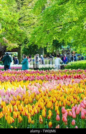 Keukenhof, Lisse, Netherlands - Apr 28th 2019: Vertical photo capturing multi-colored tulips in famous Dutch Keukenhof gardens. Visitors in background. Major tourist spot in Holland. Stock Photo