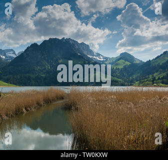 A view of the idyllic mountain landscape in the Swiss Alps with the Schwarzsee lake and golden marsh grass in the foreground Stock Photo