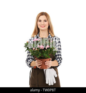 Beautiful woman florist holding house plant isolated on white background Stock Photo