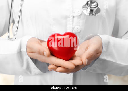 Doctor holding plastic heart in hands, closeup Stock Photo