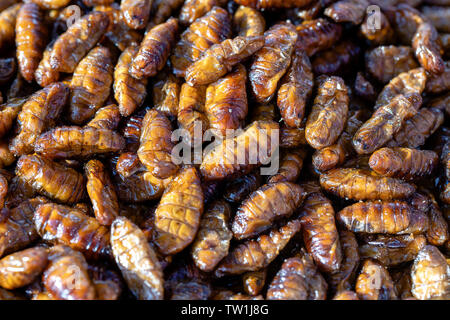 Fried silk worms delicious in street food in Thailand. They are deep fried until reaching a complete state of crispness, heavily salted, and eaten as Stock Photo