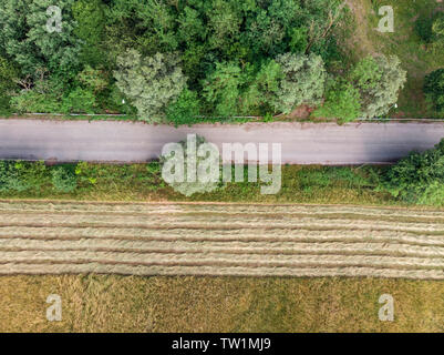 Aerial view of a road and a plowed field. Trees and vegetation seen from above. Organic farming, environmental protection Stock Photo