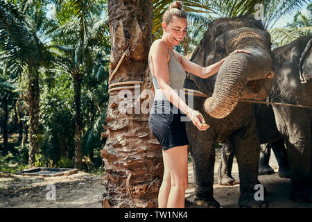 Smiling woman feeding a group of Asian elephants bananas at an animal sanctuary in Thailand Stock Photo