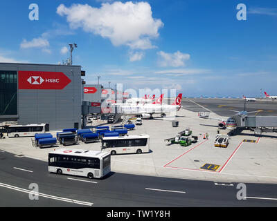 ISTANBUL, TURKEY -  JUNE 15, 2019: Turkish Airlines airplanes parked at IGA ( Istanbul Grand Airport ). Stock Photo