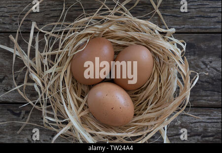Nest and egg on a wooden background. Easter decoration. Stock Photo