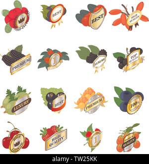 Best berry icons set, isometric style Stock Vector