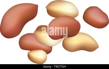 Beer peanut icon. Cartoon of beer peanut vector icon for web design isolated on white background Stock Vector