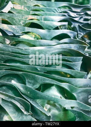 Plastic textures and mesh Stock Photo
