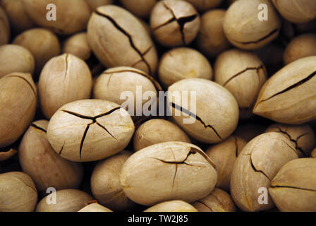 Food background of pecan nuts pile in cracked shell, selective focus Stock Photo
